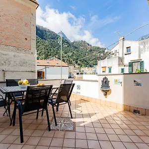  Apartment Ziro House